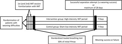 High-Intensity Inspiratory Muscle Training Improves Scalene and Sternocleidomastoid Muscle Oxygenation Parameters in Patients With Weaning Difficulties: A Randomized Controlled Trial